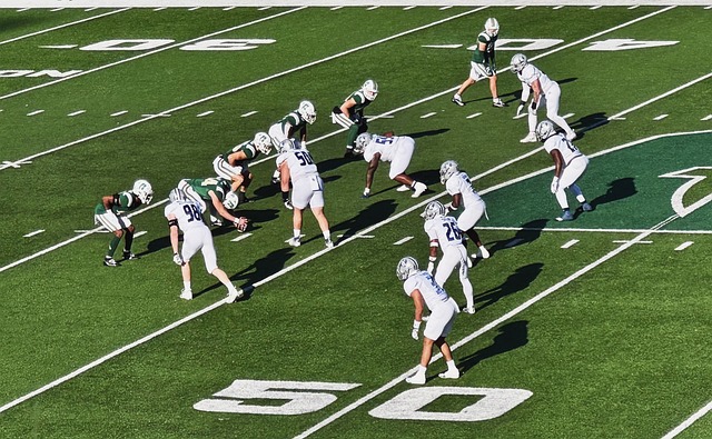 球队夺得了 球队夺得了