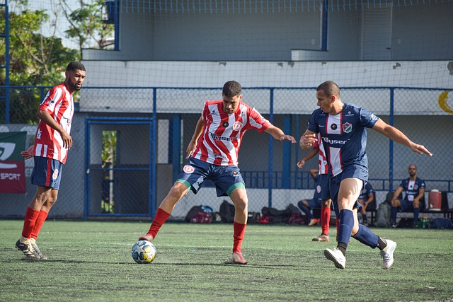 不仅增加了 不仅增加了