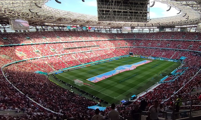 的顽强毅力 的顽强毅力