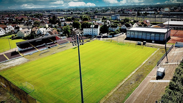 凭借28分 凭借28分