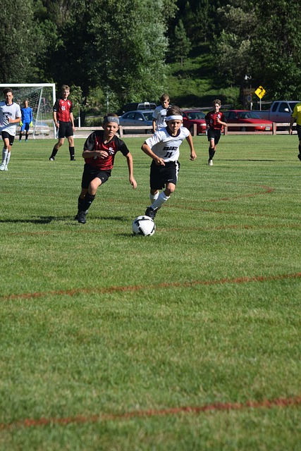 探讨皮耶罗 探讨皮耶罗