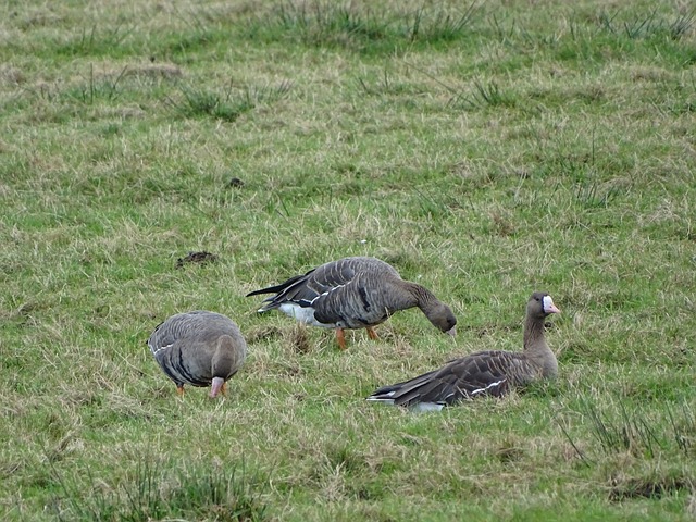 作提供了清 作提供了清