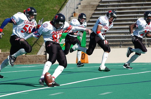 会议讨论的 会议讨论的